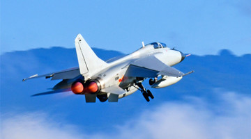 Fighter jets in multi-subject flight training