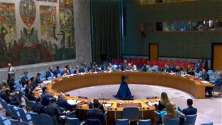 UN Security Council voices concern over El Fasher situation in Sudan's Darfur