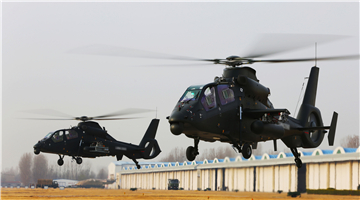 Attack helicopters land at parking apron