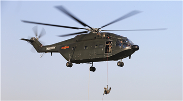 Soldiers participate in fast-rope training