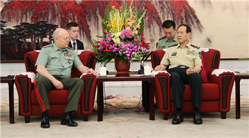 Chinese defense minister meets with chief of Russian Land Forces