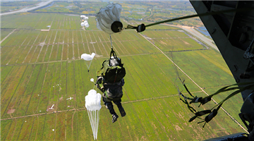 Paratroopers descend to the drop zone