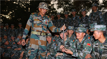 Pics: Chinese, Indian soldiers engage in 
