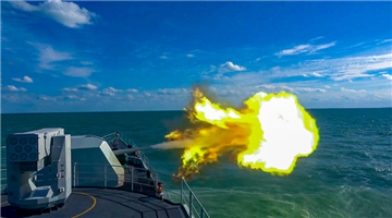 Frigate flotilla organizes maritime live-fire training