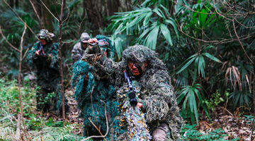 Soldiers conduct tactical training in Ghillie suits