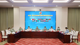 China, Arab countries hold webinar on military higher learning cooperation
