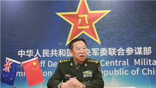 General Li Zuocheng holds video talks with New Zealand Secretary of Defense