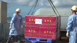 Chinese naval sailors unload relief supplies in Tonga